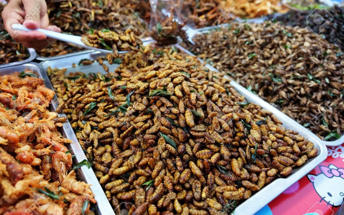 жареные червяки в тайланде